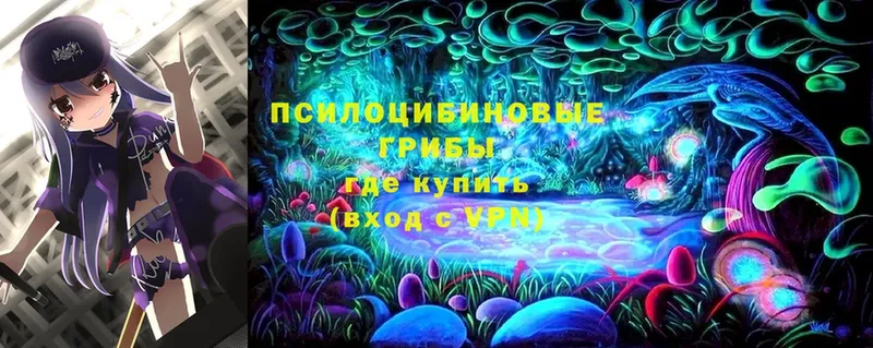 Псилоцибиновые грибы Cubensis  Калининск 